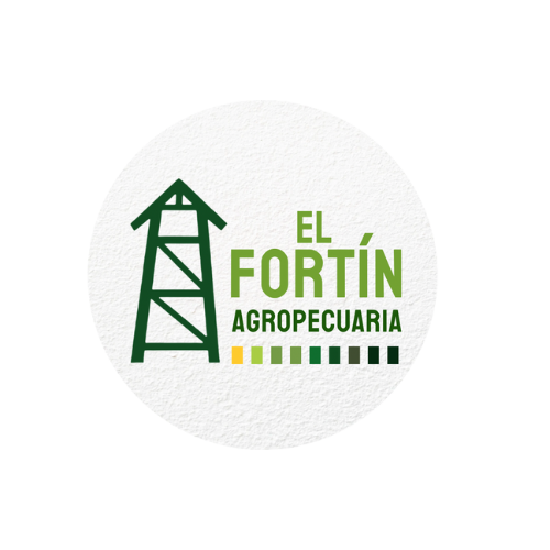 El Fortín